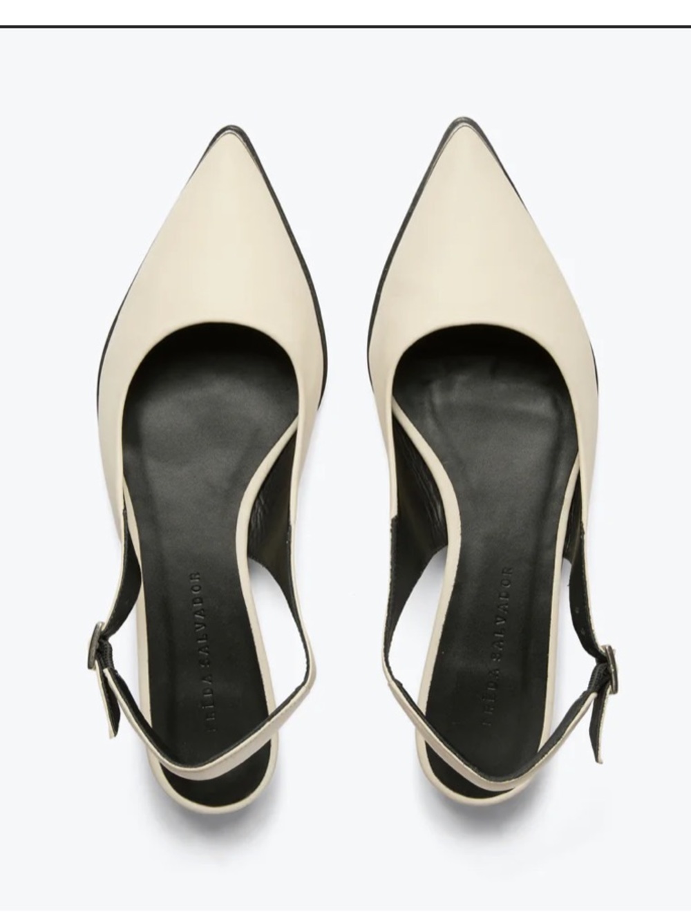 Frēda Salvador Kelly Flat